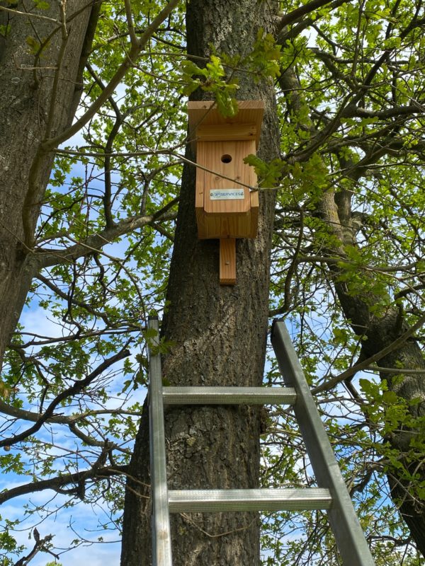 Nistkästen für die heimische Vogelwelt von 3P Services