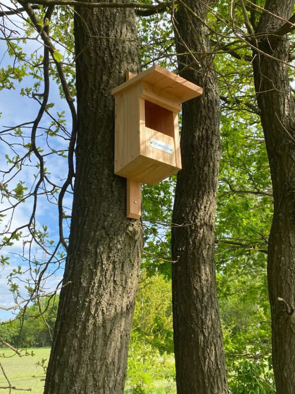 Verschieden Nistkästen bieten den heimischen Vogelarten in der Region Wietmarschen ein neues Zuhause.